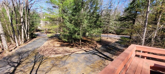 56 Dryden Dr, Albrightsville, PA 18210 - photo 49