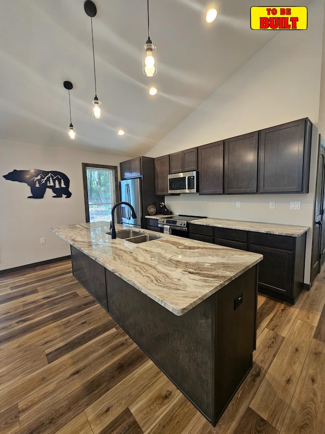 kitchen featuring lofted ceiling, dark wood-type flooring, appliances with stainless steel finishes, and a sink