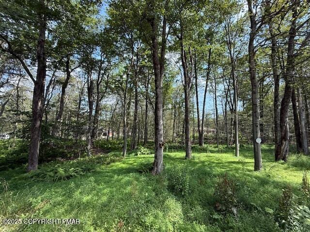 9140 Wilson Ct, Tobyhanna, PA 18466 - photo 75