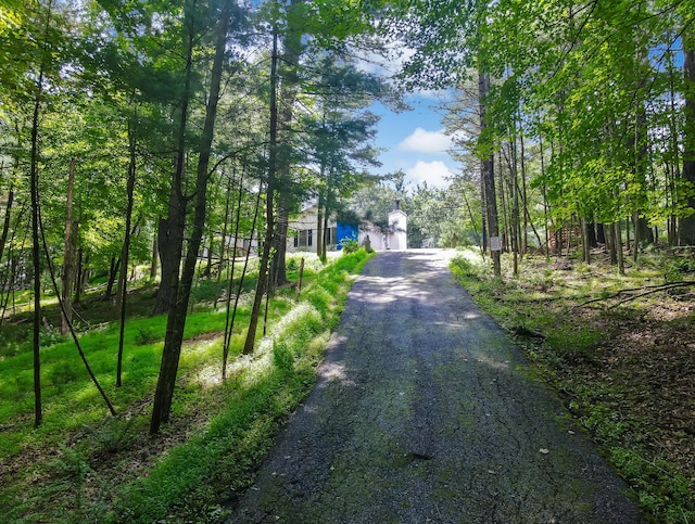 1219 Sherwood Forest Rd, Stroudsburg, PA 18360 - view of street with driveway