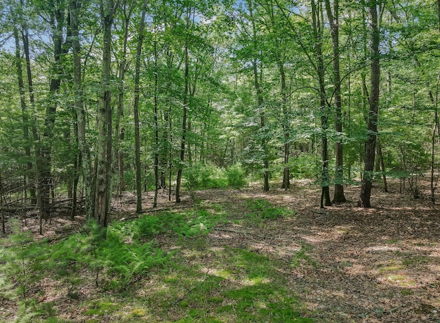 1219 Sherwood Forest Rd, Stroudsburg, PA 18360 - view of nature featuring a forest view