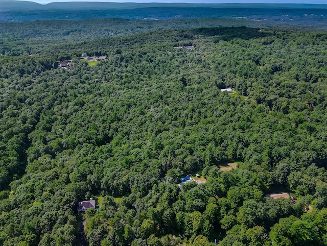 1219 Sherwood Forest Rd, Stroudsburg, PA 18360 - drone / aerial view with a view of trees
