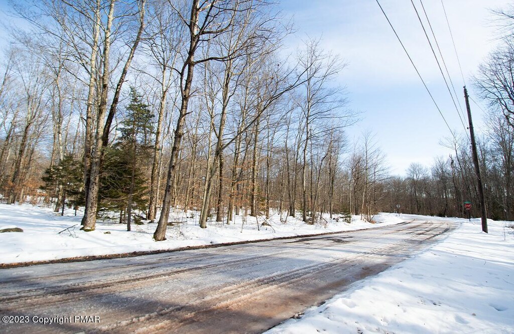 LOT260 Pontiac Path, Pocono Lake, PA 18347