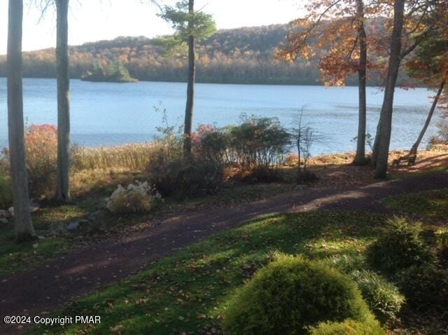 view of water feature featuring a view of trees