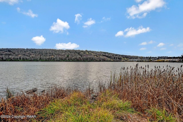 water view with a wooded view