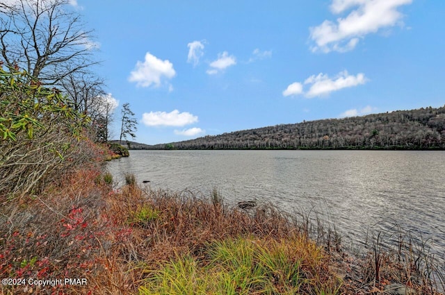 water view featuring a wooded view