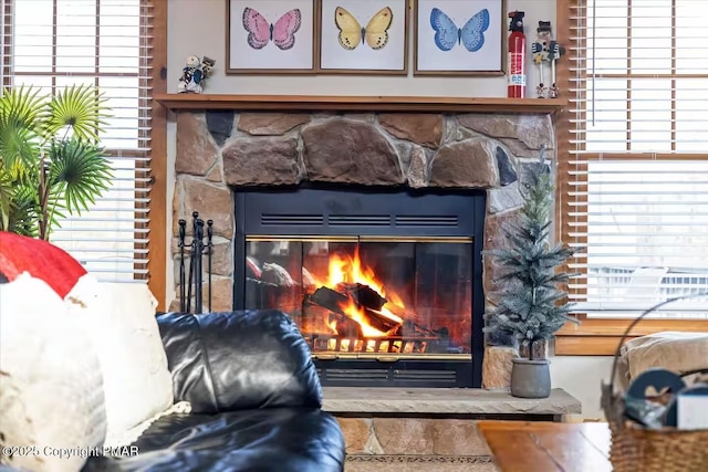 details featuring a fire extinguisher and a stone fireplace