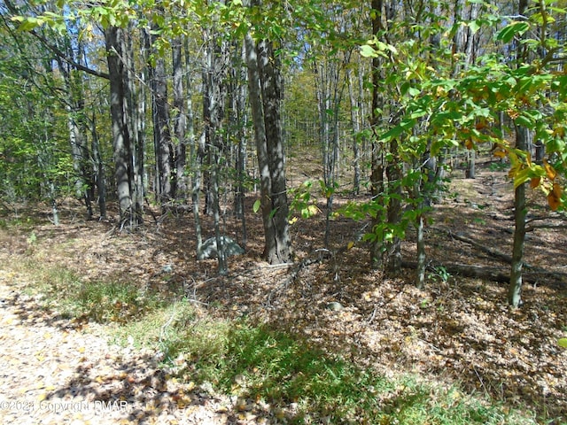 Riverside Ln, Pocono Lake, PA 18347