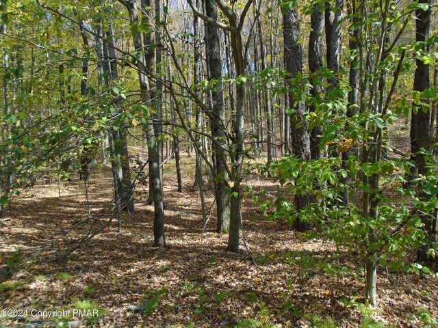Riverside Ln, Pocono Lake, PA 18347