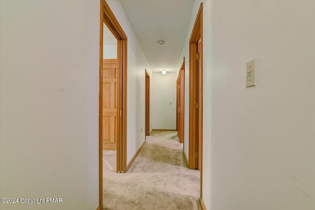 hall with baseboards and light colored carpet