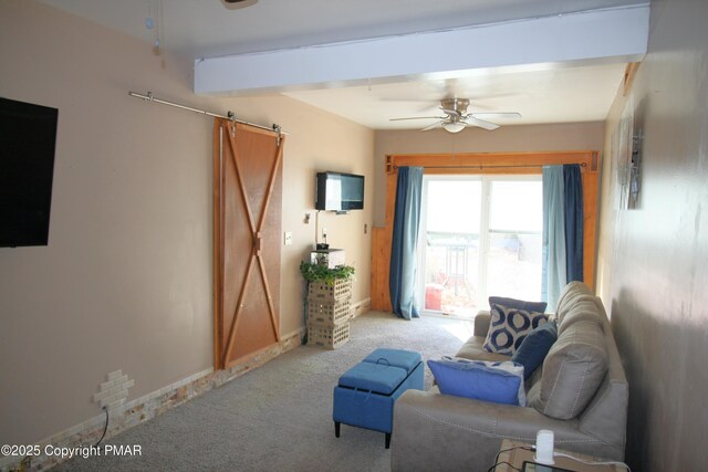 carpeted living room with ceiling fan, a barn door, and beam ceiling