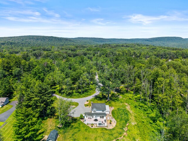 5126 Beattys Cir, Buck Hill Falls, PA 18323 - view from above of property featuring a forest