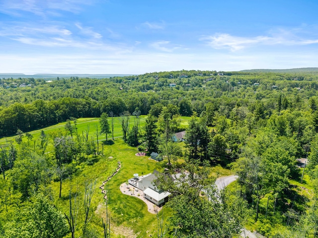 5126 Beattys Cir, Buck Hill Falls, PA 18323 - drone / aerial view of a heavily wooded area