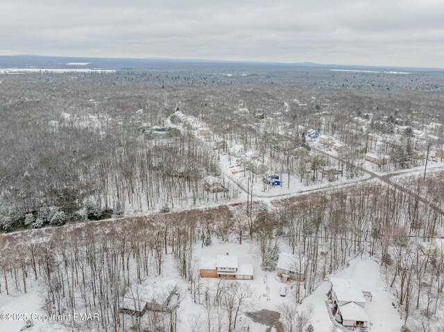 3011 Minqua Cir, Tobyhanna, PA 18466 - view of snowy aerial view