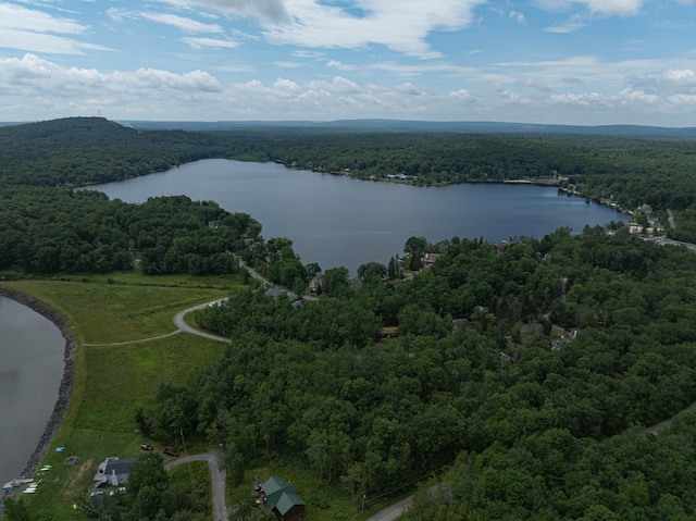 295 Wyomissing Dr, Pocono Lake, PA 18347 - bird's eye view of a heavily wooded area and a large body of water