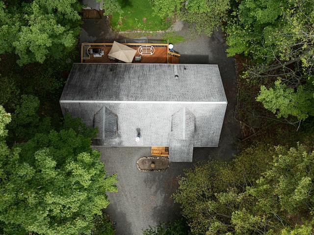 295 Wyomissing Dr, Pocono Lake, PA 18347 - view from above of property