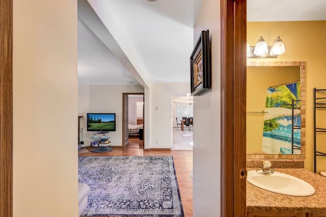295 Wyomissing Dr, Pocono Lake, PA 18347 - hallway featuring a sink and wood finished floors