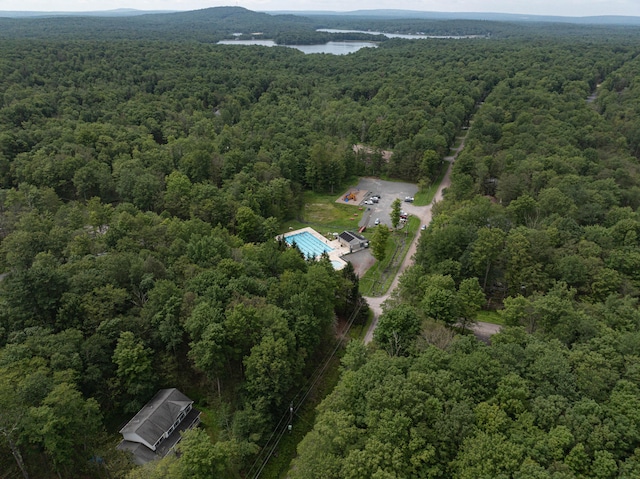 295 Wyomissing Dr, Pocono Lake, PA 18347 - drone / aerial view of a heavily wooded area and a large body of water