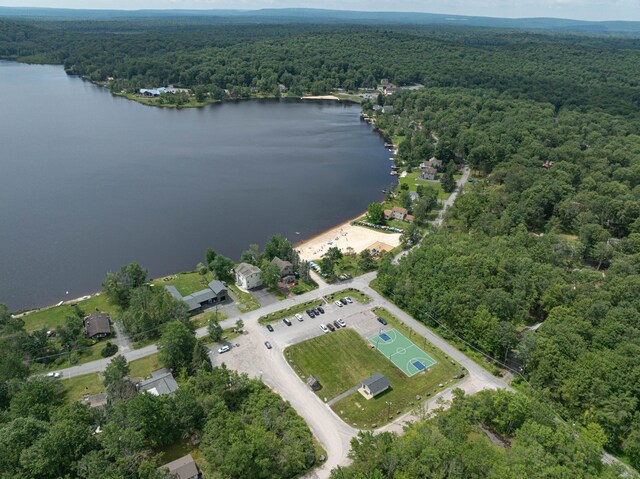 295 Wyomissing Dr, Pocono Lake, PA 18347 - aerial overview of property's location with a nearby body of water