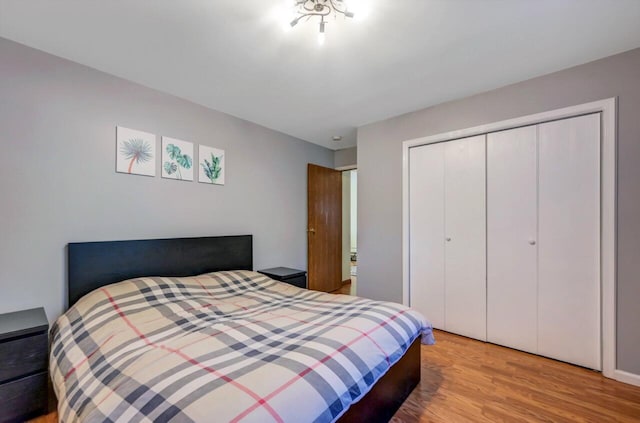 295 Wyomissing Dr, Pocono Lake, PA 18347 - bedroom featuring wood finished floors and a closet