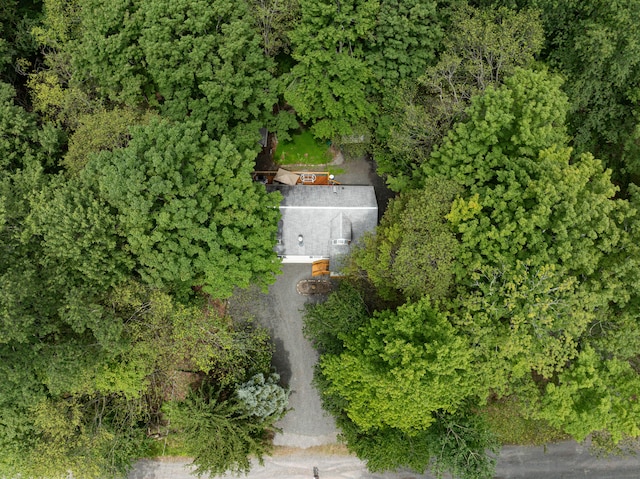 295 Wyomissing Dr, Pocono Lake, PA 18347 - aerial view of property and surrounding area