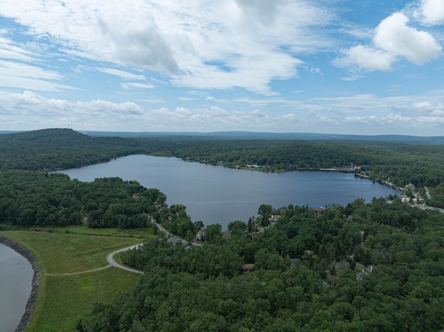 295 Wyomissing Dr, Pocono Lake, PA 18347 - bird's eye view of a heavily wooded area and a nearby body of water