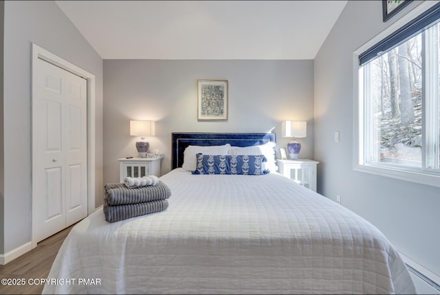 3126 Snowden Dr, Bushkill, PA 18324 - bedroom with multiple windows and wood finished floors