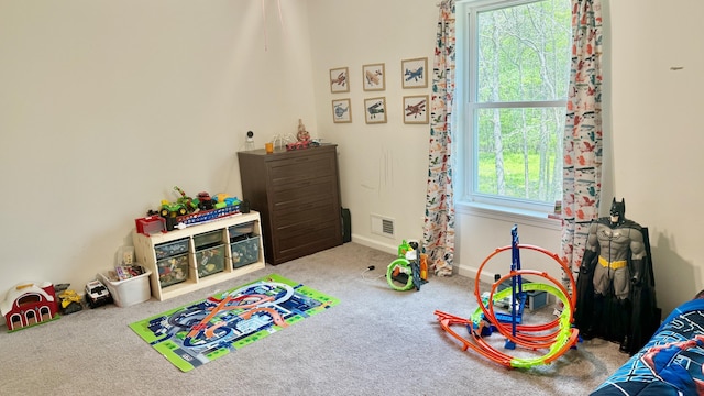 2292 Bismark Rd, Blakeslee, PA 18610 - rec room with carpet floors and baseboards
