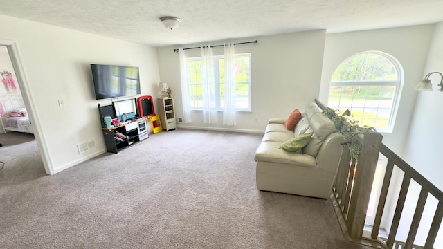 2292 Bismark Rd, Blakeslee, PA 18610 - living area featuring carpet, a textured ceiling, and baseboards