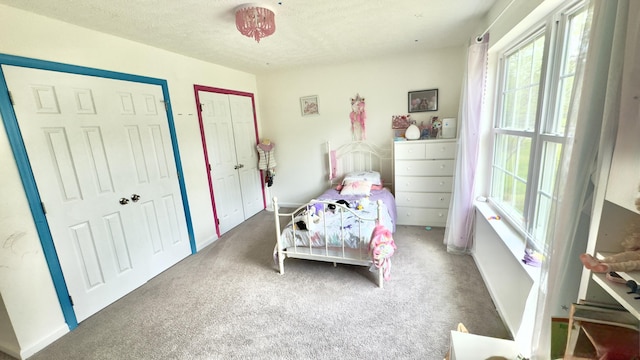 2292 Bismark Rd, Blakeslee, PA 18610 - bedroom with multiple windows, carpet flooring, multiple closets, a textured ceiling, and baseboards