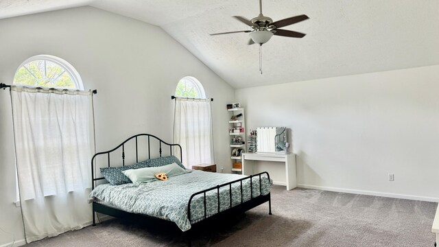 2292 Bismark Rd, Blakeslee, PA 18610 - bedroom with lofted ceiling, carpet floors, ceiling fan, and baseboards