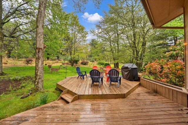 96 Wolf Hollow Rd, Lake Harmony, PA 18624 - photo 51