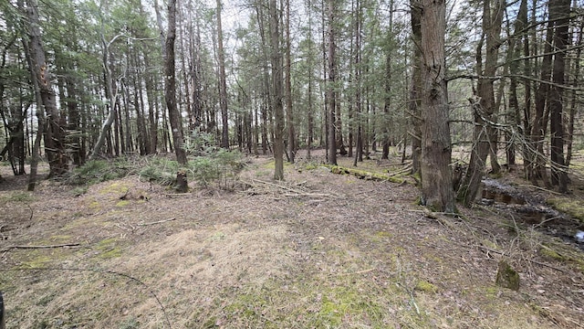 74 Forest Dr, Pocono Lake, PA 18347
