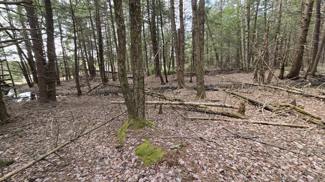 74 Forest Dr, Pocono Lake, PA 18347