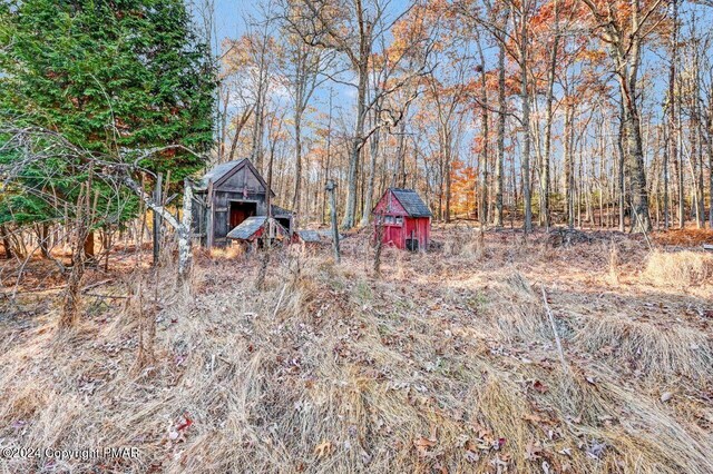 view of yard with a forest view, a storage unit, and an outdoor structure