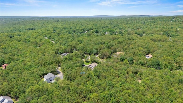 137 Long View Dr, Albrightsville, PA 18210 - photo 24