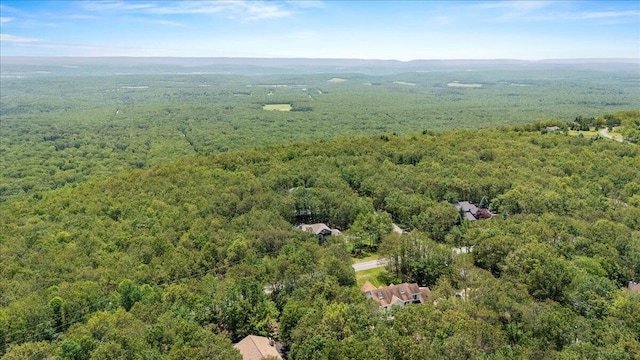 137 Long View Dr, Albrightsville, PA 18210 - photo 25