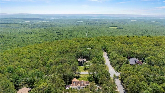 137 Long View Dr, Albrightsville, PA 18210 - photo 20