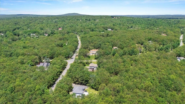 137 Long View Dr, Albrightsville, PA 18210 - photo 23