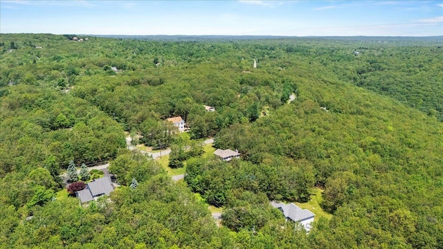 137 Long View Dr, Albrightsville, PA 18210 - photo 22