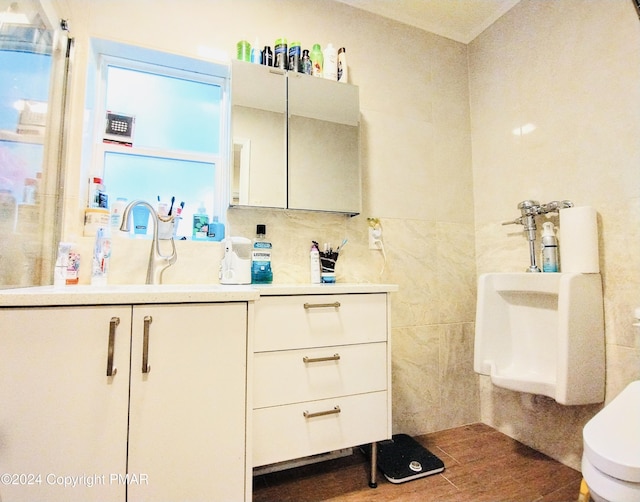 bathroom with vanity, wood-type flooring, toilet, and tile walls