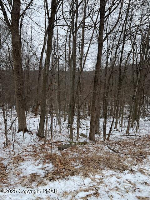 Maple Grove Rd, Moscow PA, 18444 land for sale