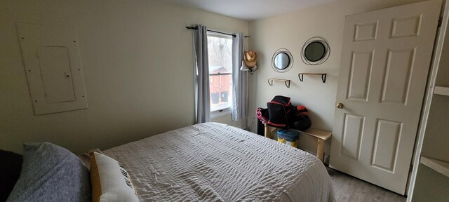 139 Eliot Ln, Albrightsville, PA 18210 - bedroom featuring electric panel, multiple windows, and light wood-style flooring