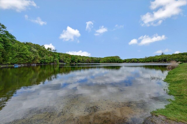 159 Sandstone Dr, Dingmans Ferry, PA 18328 - water view with a forest