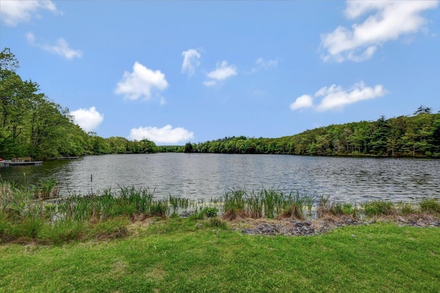 159 Sandstone Dr, Dingmans Ferry, PA 18328 - water view featuring a forest
