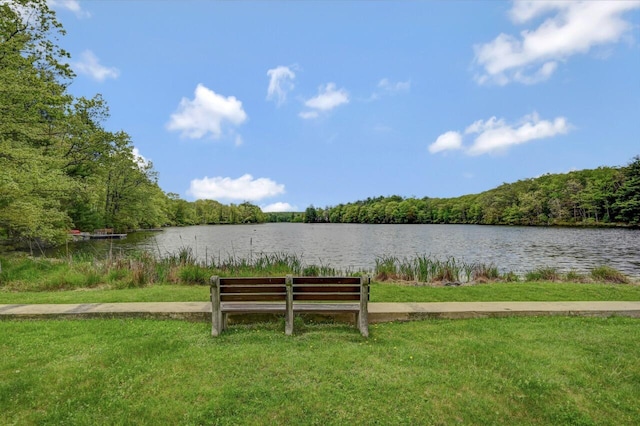 159 Sandstone Dr, Dingmans Ferry, PA 18328 - view of property's community with a view of trees, a water view, and a lawn