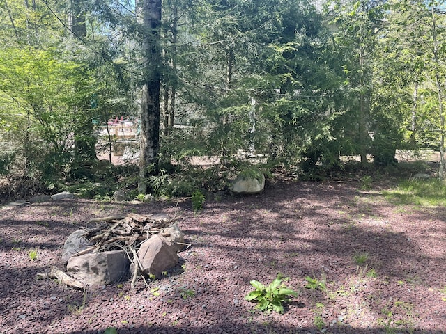 1515 Beech Spring Dr, Pocono Pines, PA 18350 - view of yard featuring a fire pit