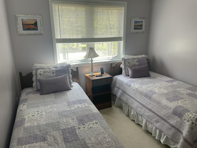 1515 Beech Spring Dr, Pocono Pines, PA 18350 - bedroom featuring light colored carpet