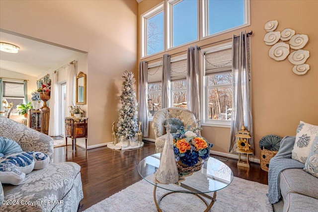 living area featuring plenty of natural light, wood finished floors, and baseboards