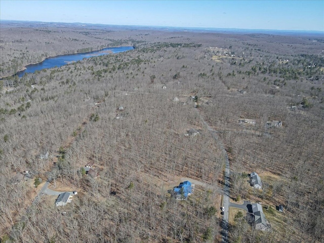 115 Ridgewood Ln, Hawley, PA 18428 - aerial view of property and surrounding area featuring a large body of water